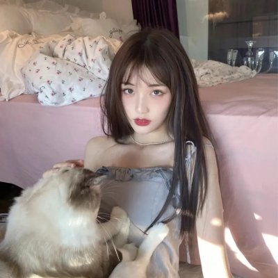 羔羊大律师